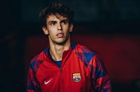 体育博弈“逆向投注（Fade the Public）”：为什么当所有人都在买强队时，反向操作往往获利？（当大众一边倒押强队时，缘何“逆向投注”（Fade the Public）更易获利？）